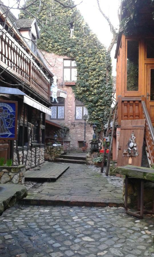 Gîte Le Riesling Bergheim Extérieur photo