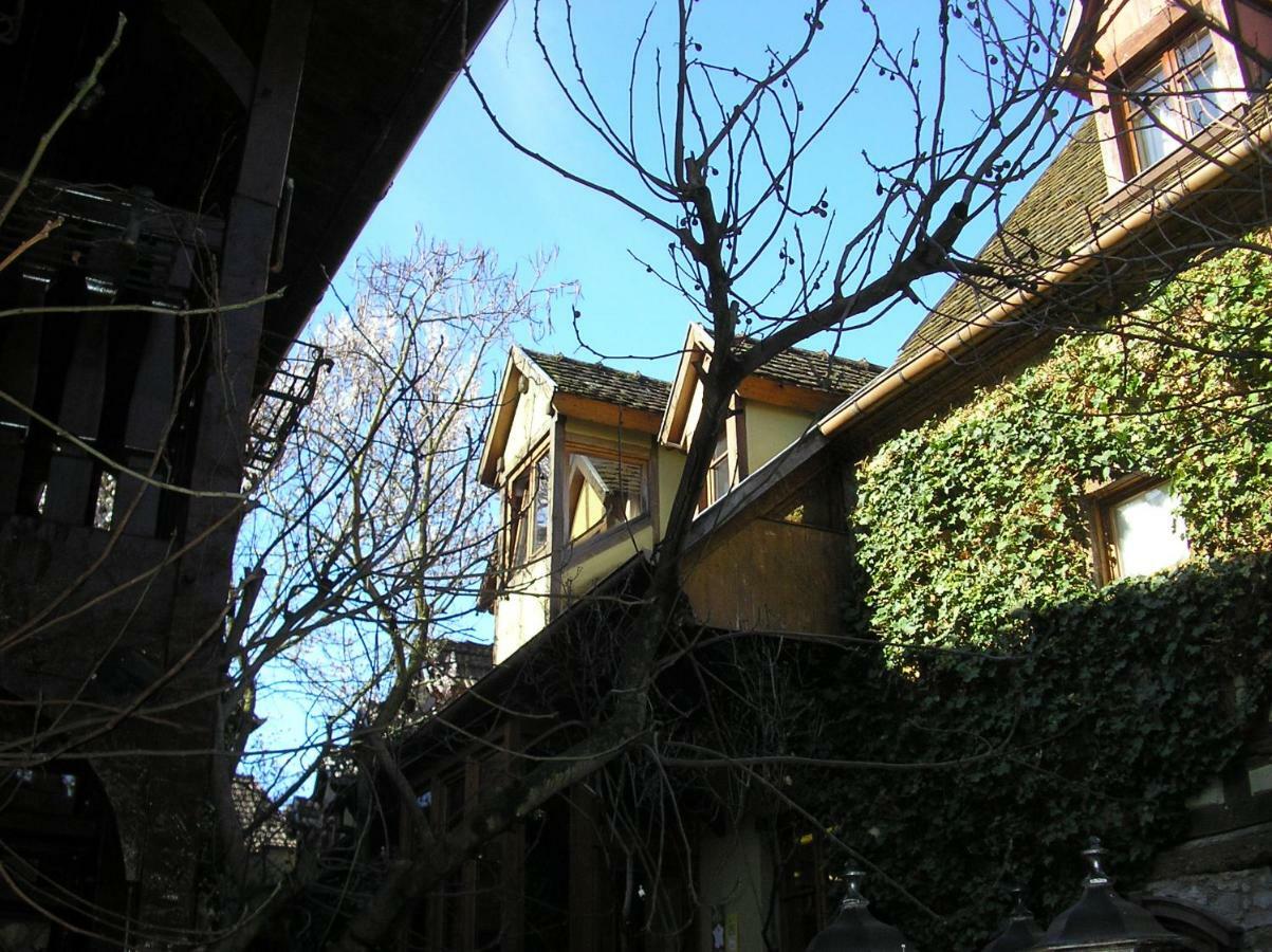 Gîte Le Riesling Bergheim Extérieur photo