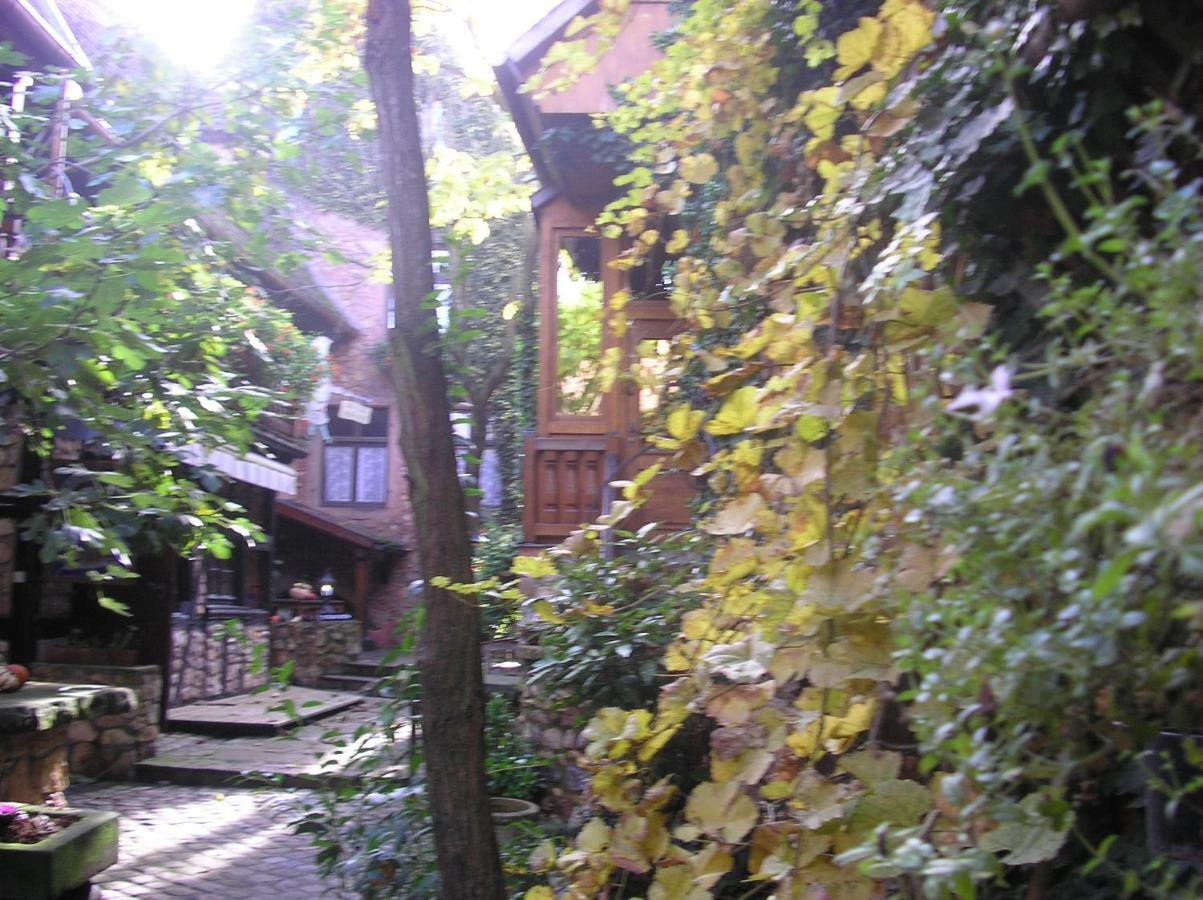 Gîte Le Riesling Bergheim Extérieur photo